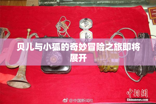 贝儿与小狐的奇妙冒险之旅即将展开