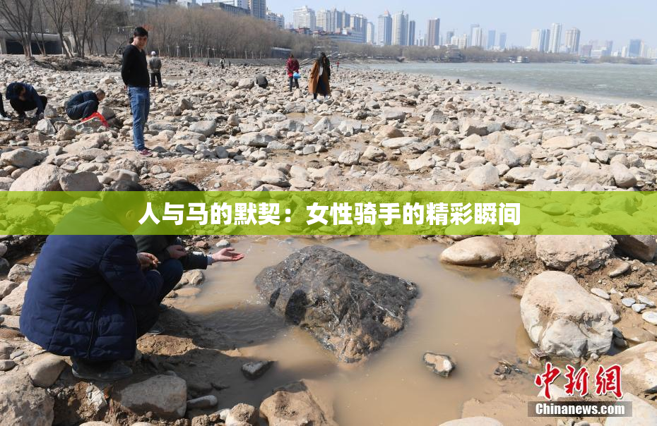 人与马的默契：女性骑手的精彩瞬间