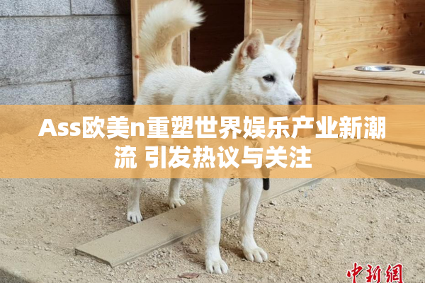 Ass欧美n重塑世界娱乐产业新潮流 引发热议与关注