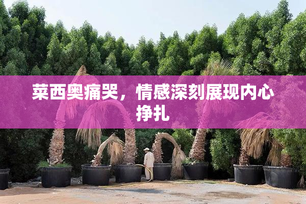 菜西奥痛哭，情感深刻展现内心挣扎