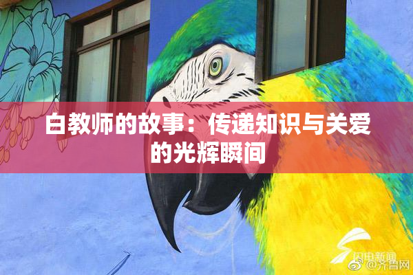白教师的故事：传递知识与关爱的光辉瞬间