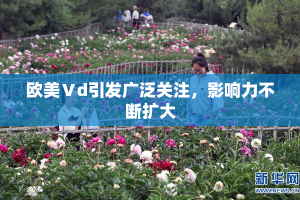 欧美Ⅴd引发广泛关注，影响力不断扩大