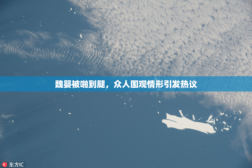 魏婴被啪到腿，众人围观情形引发热议