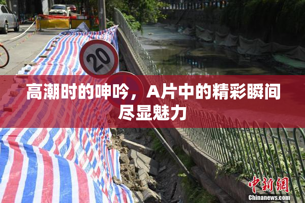 高潮时的呻吟，A片中的精彩瞬间尽显魅力