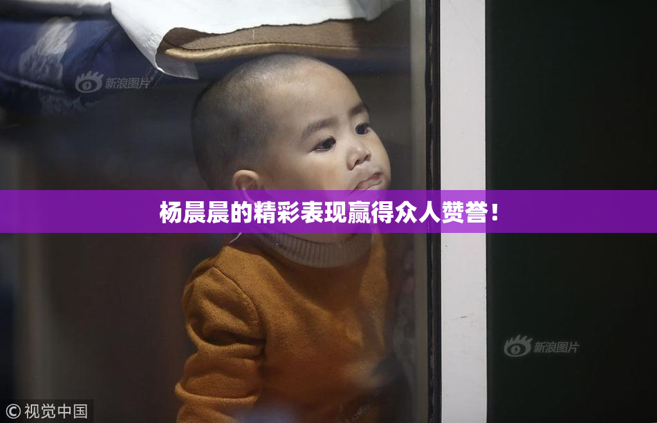 杨晨晨的精彩表现赢得众人赞誉！
