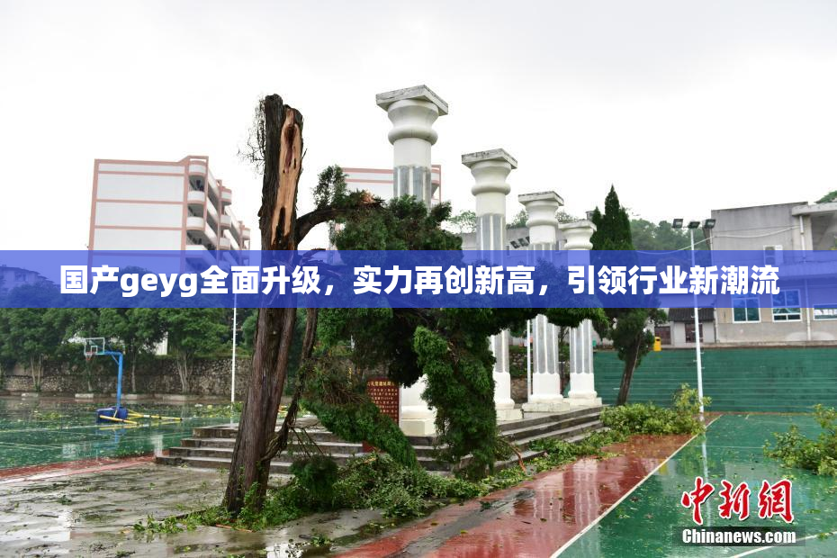 国产geyg全面升级，实力再创新高，引领行业新潮流