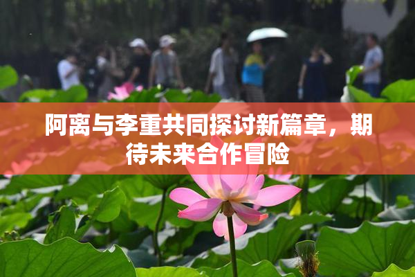 阿离与李重共同探讨新篇章，期待未来合作冒险