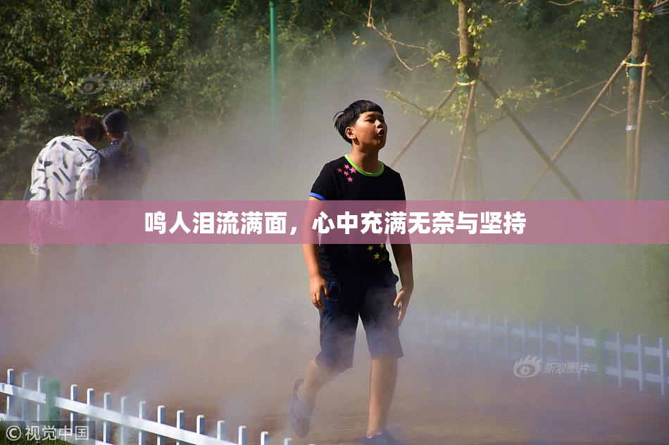 鸣人泪流满面，心中充满无奈与坚持