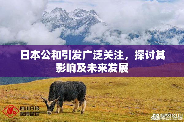 日本公和引发广泛关注，探讨其影响及未来发展