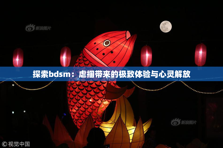 探索bdsm：虐捆带来的极致体验与心灵解放