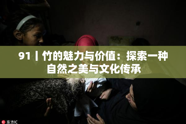 91丨竹的魅力与价值：探索一种自然之美与文化传承