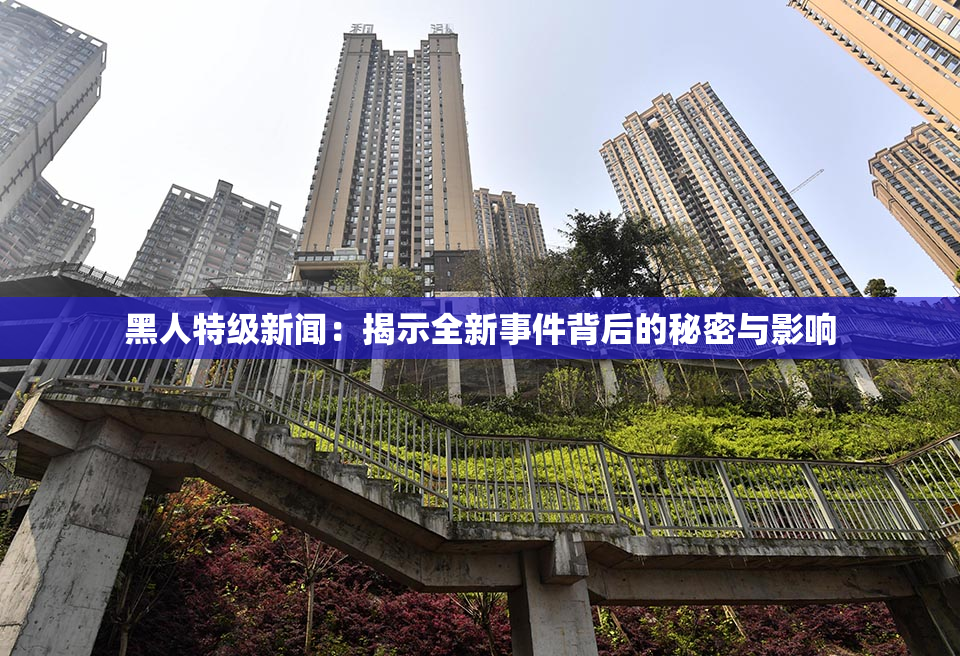 黑人特级新闻：揭示全新事件背后的秘密与影响