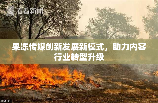 果冻传媒创新发展新模式，助力内容行业转型升级