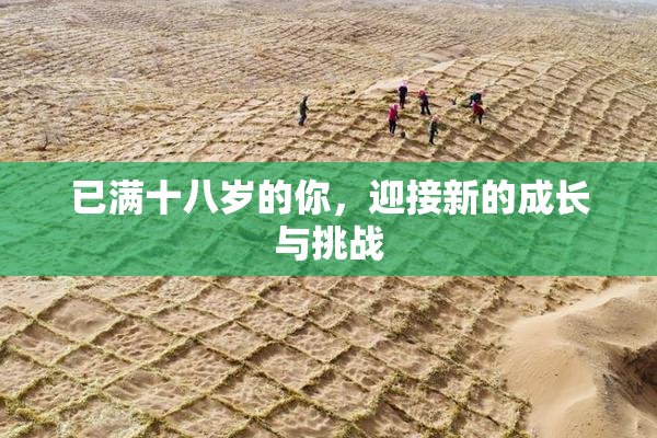 已满十八岁的你，迎接新的成长与挑战