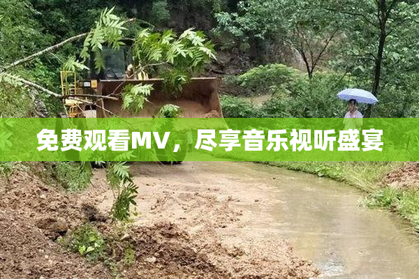 免费观看MV，尽享音乐视听盛宴