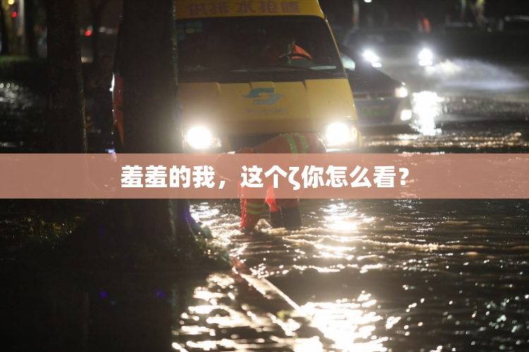 羞羞的我，这个ζ你怎么看？