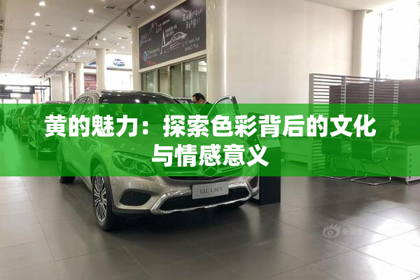黄的魅力：探索色彩背后的文化与情感意义