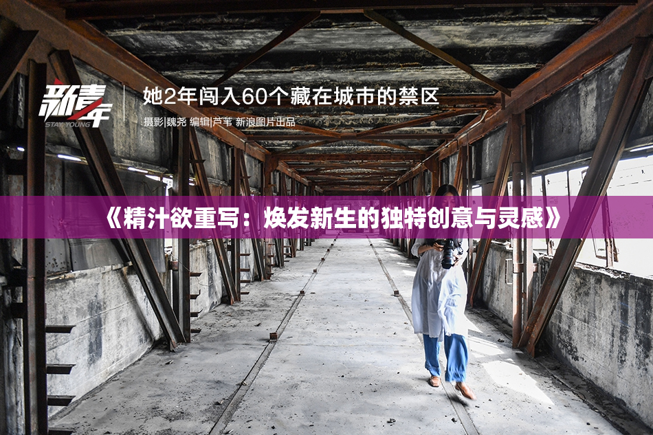 《精汁欲重写：焕发新生的独特创意与灵感》