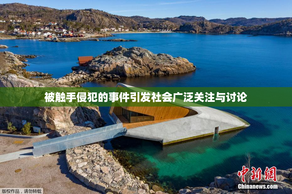 被触手侵犯的事件引发社会广泛关注与讨论