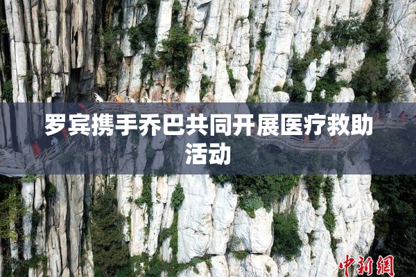 罗宾携手乔巴共同开展医疗救助活动
