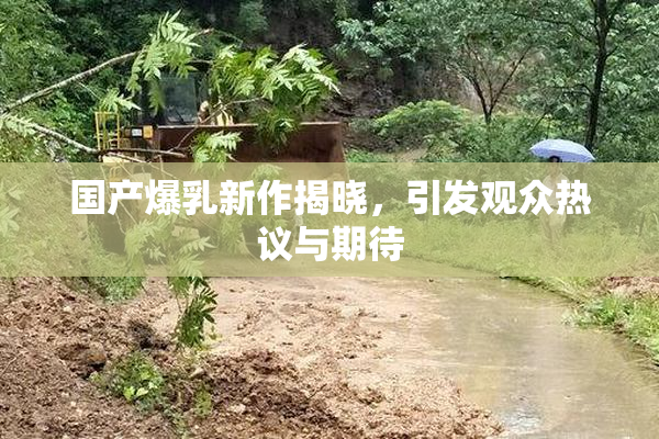 国产爆乳新作揭晓，引发观众热议与期待