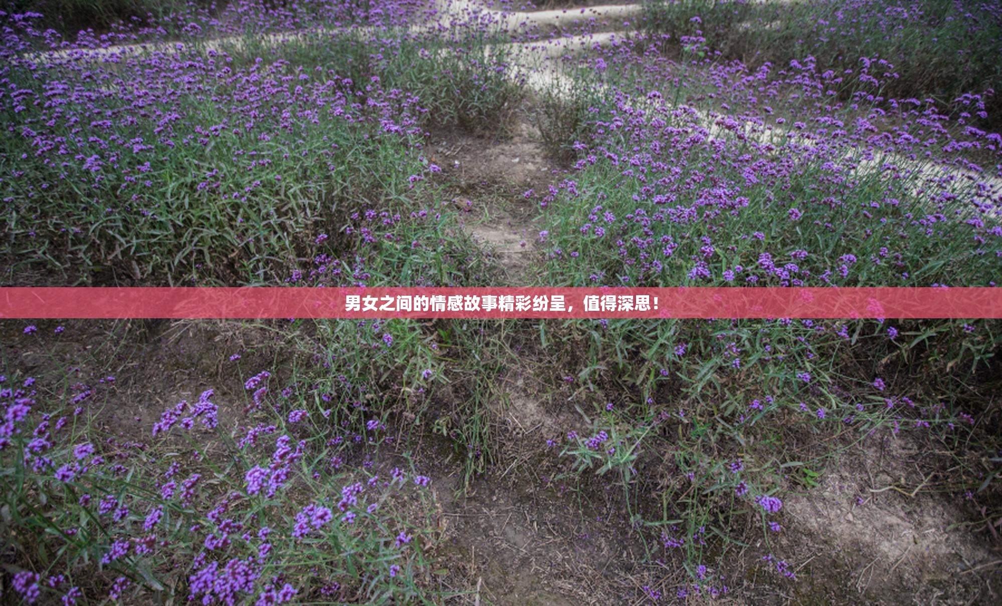 男女之间的情感故事精彩纷呈，值得深思！