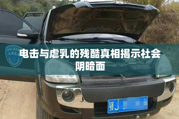 电击与虐乳的残酷真相揭示社会阴暗面