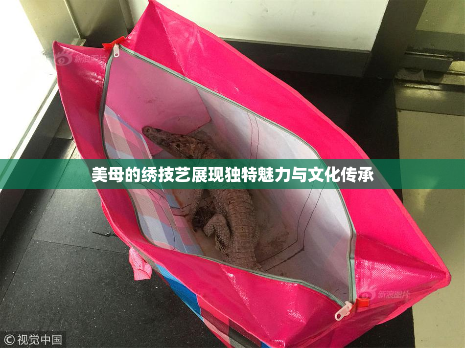 美母的绣技艺展现独特魅力与文化传承