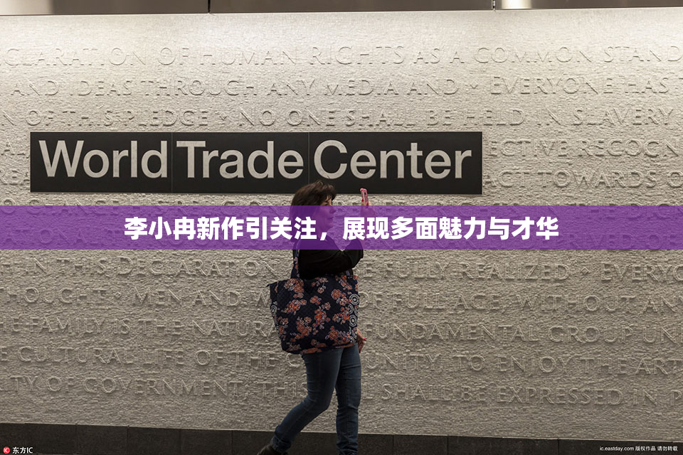 李小冉新作引关注，展现多面魅力与才华