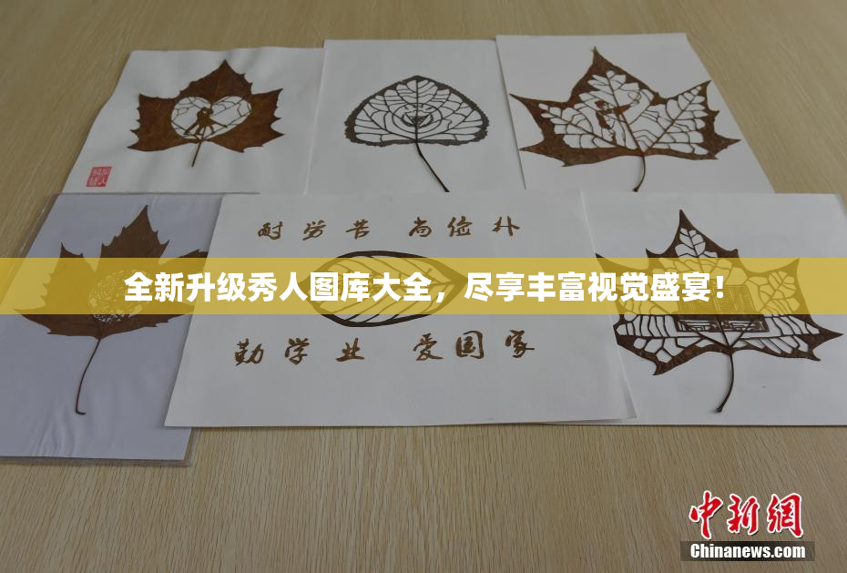 全新升级秀人图库大全，尽享丰富视觉盛宴！