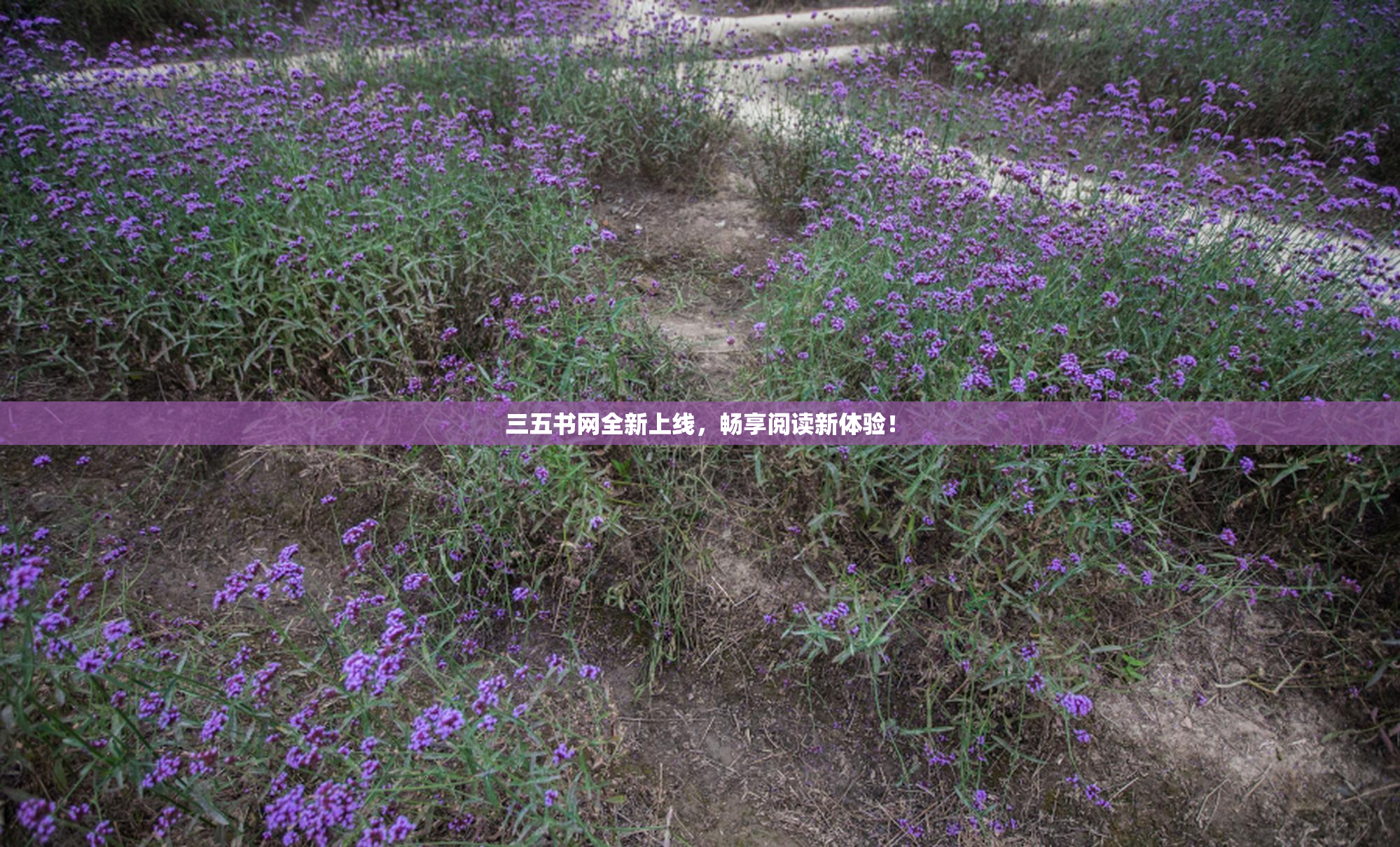 三五书网全新上线，畅享阅读新体验！