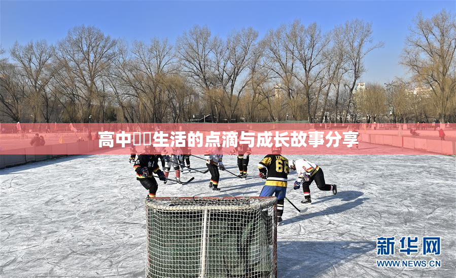 高中妺妺生活的点滴与成长故事分享