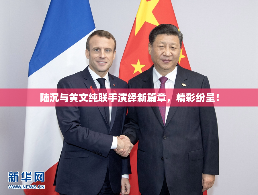 陆沉与黄文纯联手演绎新篇章，精彩纷呈！