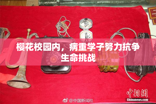 樱花校园内，病重学子努力抗争生命挑战