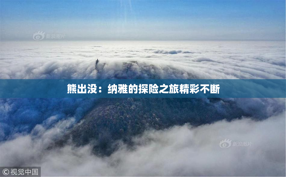 熊出没：纳雅的探险之旅精彩不断