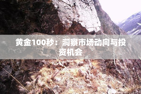 黄金100秒：洞察市场动向与投资机会