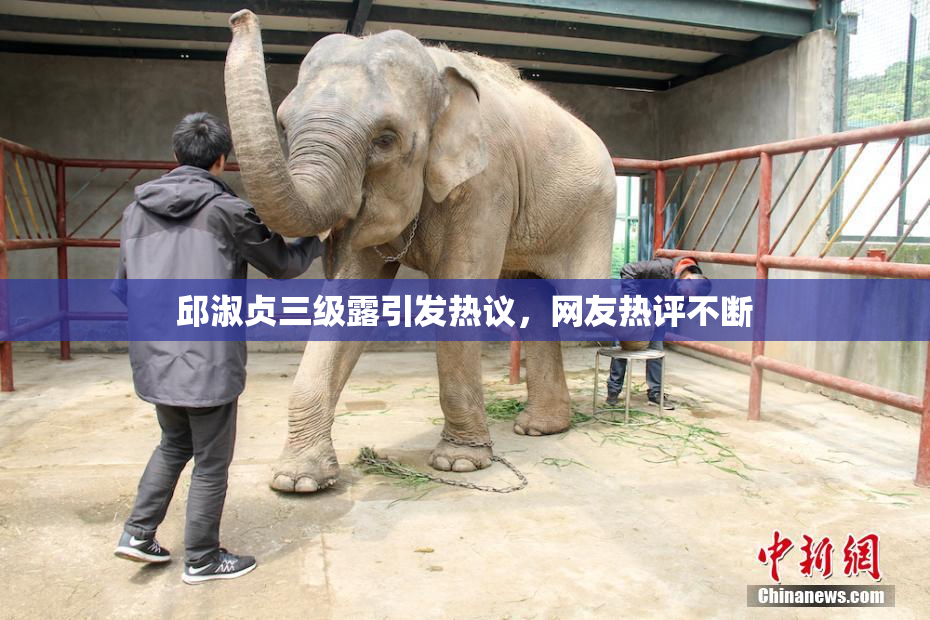 邱淑贞三级露引发热议，网友热评不断