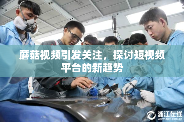 蘑菇视频引发关注，探讨短视频平台的新趋势