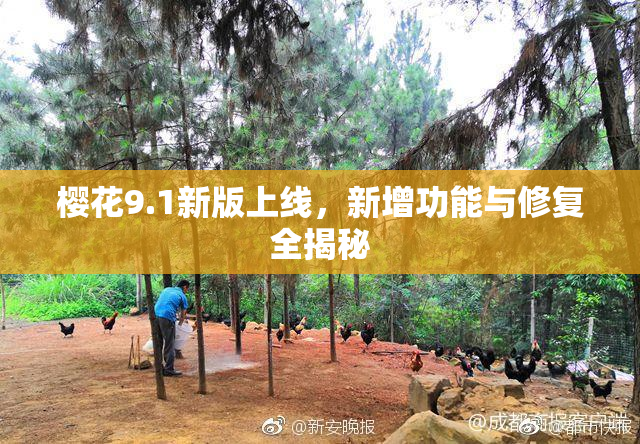 樱花9.1新版上线，新增功能与修复全揭秘