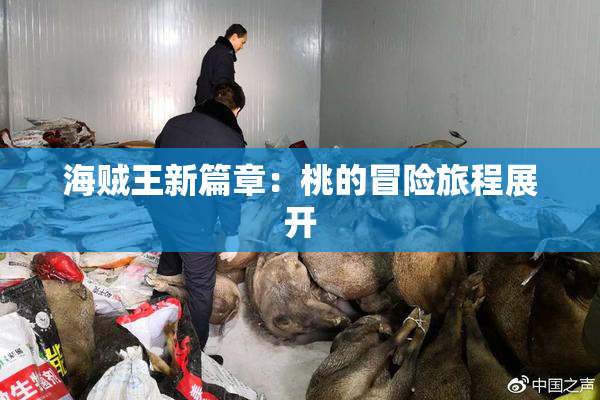 海贼王新篇章：桃的冒险旅程展开
