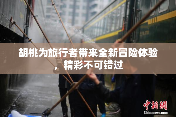 胡桃为旅行者带来全新冒险体验，精彩不可错过