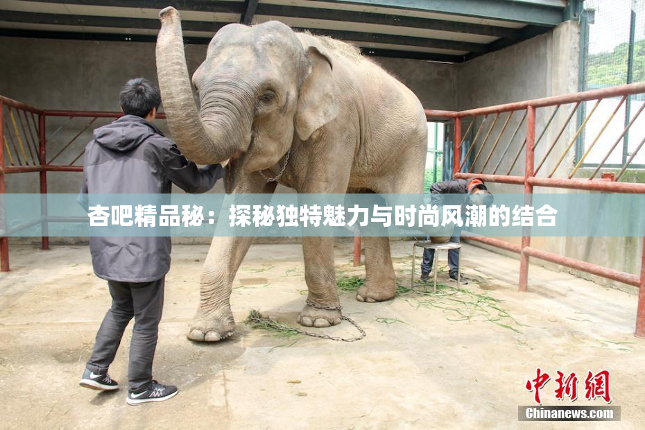 杏吧精品秘：探秘独特魅力与时尚风潮的结合