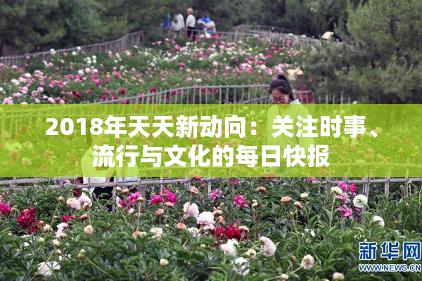 2018年天天新动向：关注时事、流行与文化的每日快报