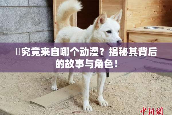 凪究竟来自哪个动漫？揭秘其背后的故事与角色！
