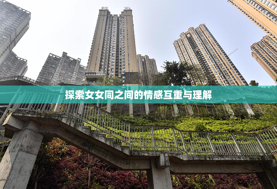 探索女女同之间的情感互重与理解