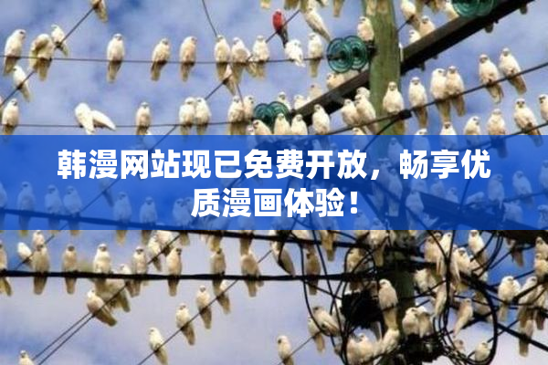 韩漫网站现已免费开放，畅享优质漫画体验！