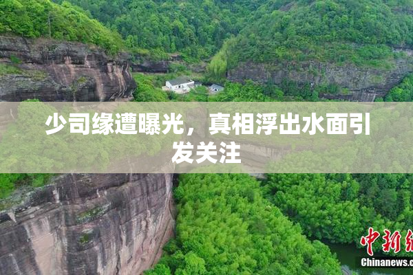 少司缘遭曝光，真相浮出水面引发关注