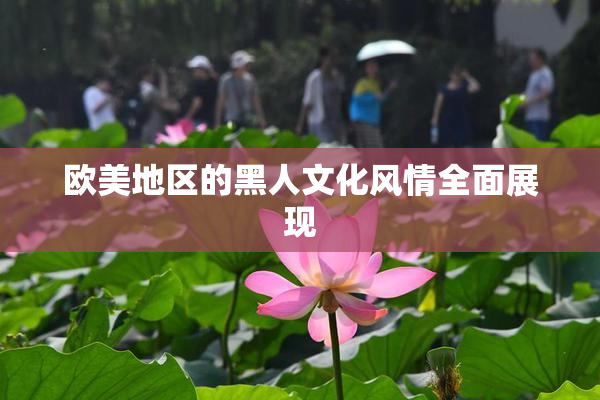欧美地区的黑人文化风情全面展现