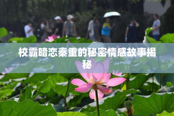 校霸暗恋秦重的秘密情感故事揭秘