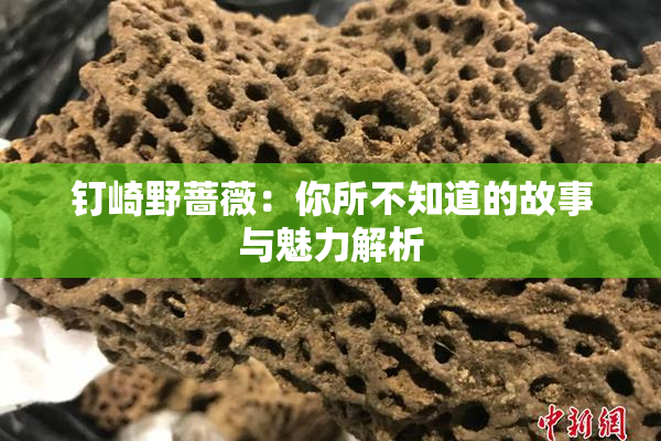 钉崎野蔷薇：你所不知道的故事与魅力解析